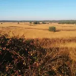 Alpesi faház Beuk