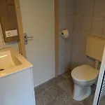 Beuk Alpesi faház Hoenderloo