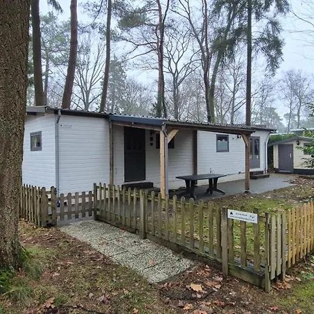 Beuk Chalet Hoenderloo