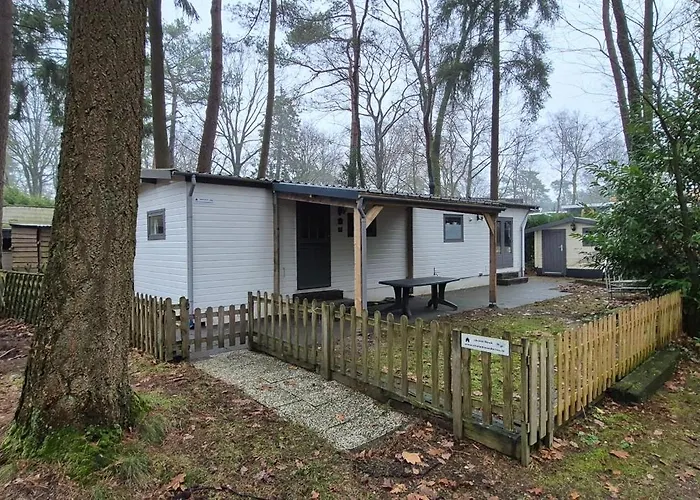 Beuk Chalet Hoenderloo